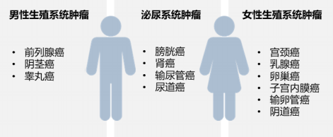 图片30.png