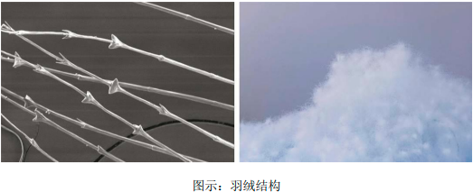 图片27.png