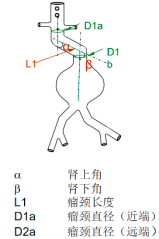 图片29.png